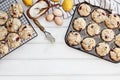 Cranberry Muffins with Lemon Zest Royalty Free Stock Photo