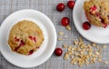 Cranberry oatmeal muffins