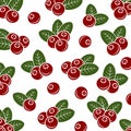 Cranberry pattern background set. Collection icon cranberry. Vector