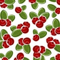 Cranberry pattern background set. Collection icon cranberry. Vector