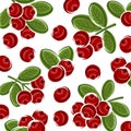 Cranberry pattern background set. Collection icon cranberry. Vector