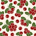 Cranberry pattern background set. Collection icon cranberry. Vector Royalty Free Stock Photo