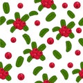 Cranberry pattern semless background