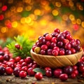 cranberry pic with color background Royalty Free Stock Photo