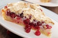 Cranberry pie slice Royalty Free Stock Photo