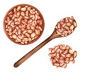 Cranberry or pinto beans on white background. Watercolor illustration Royalty Free Stock Photo