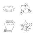 Cranberry, pumpkin pie, honey pot, maple leaf.Canada thanksgiving day set collection icons in outline style vector