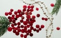 Cranberry Royalty Free Stock Photo