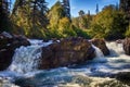 Cranberry River Canyon - Summer Royalty Free Stock Photo