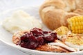 Cranberry Sauce Over Roast Turkey Royalty Free Stock Photo