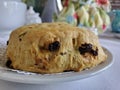 Cranberry scone closeup food at tea house meal baked goods