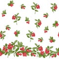 Cranberry. Seamless pattern