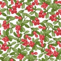 Cranberry. Seamless pattern