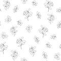 Cranberry. Seamless pattern