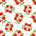 Cranberry seamless pattern