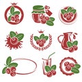 Cranberry set. Vector