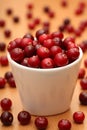 Cranberry Royalty Free Stock Photo