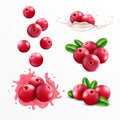 Cranberry smoothie. Berry in juice and milk splash, falling wet liquid and sweet food, 3d nature fruits with leaf, milky