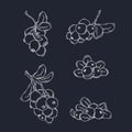 Cranberry vector drawing. Isolated berry branch sketch on white background. Royalty Free Stock Photo