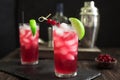 Cranberry Vodka Cocktail