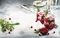 Cranberry, vodka, gin alcoholic cocktail with ice, rosemary and berries in tumbler glass. Summer long drink. Gray table background