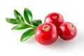 Cranberry on white Royalty Free Stock Photo