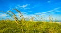 Crandon Park Beach Royalty Free Stock Photo