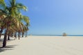 Crandon Park Beach Miami Royalty Free Stock Photo
