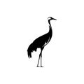 crane bird logo Royalty Free Stock Photo