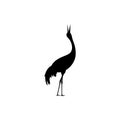 Crane bird  logo Royalty Free Stock Photo