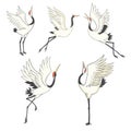 Set of birds. Crane, stork, heron. Vector. Royalty Free Stock Photo