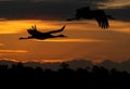 Crane birds flying at sunset Royalty Free Stock Photo