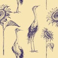 Crane birds and sunflowers hand drawn pattern
