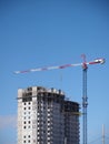 Crane builds house Royalty Free Stock Photo