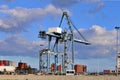 Crane of cargo ships in full activity. International freight transport Royalty Free Stock Photo