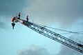 Crane driver operators check tower crane