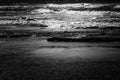 Seascape of Crane in the east of the Mediterranean Sea, on the beach of Givat Olga, Hadera Israel.