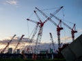 Crane Evening landscape