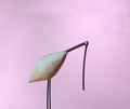 Crane figure on pink background. decorative concept Royalty Free Stock Photo