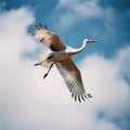 The crane flies high in the sky against the background of white clouds, Royalty Free Stock Photo