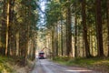 Crane in forest loading logs in the truck. Timber harvesting and transportation in forest