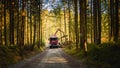 Crane in forest loading logs in the truck. Timber harvesting and transportation in forest