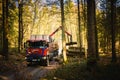 Crane in forest loading logs in the truck. Timber harvesting and transportation in forest