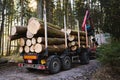 Crane in forest loading logs in the truck. Timber harvesting and transportation in forest