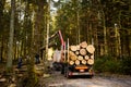 Crane in forest loading logs in the truck. Timber harvesting and transportation in forest