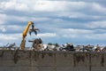 Crane with grapple releasing scrap Royalty Free Stock Photo