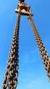 crane hook and big chain under blue sky