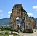 Crane in its nest on top of Roman ruins