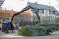 Test For DiabetesCrane lifts and installs a Christmas tree on the town square