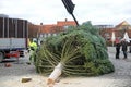 Test For DiabetesCrane lifts and installs a Christmas tree on the town square
